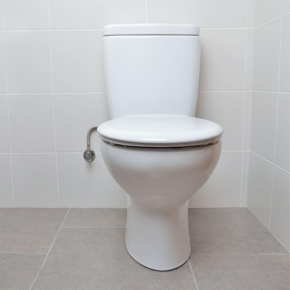 Image of toilet.