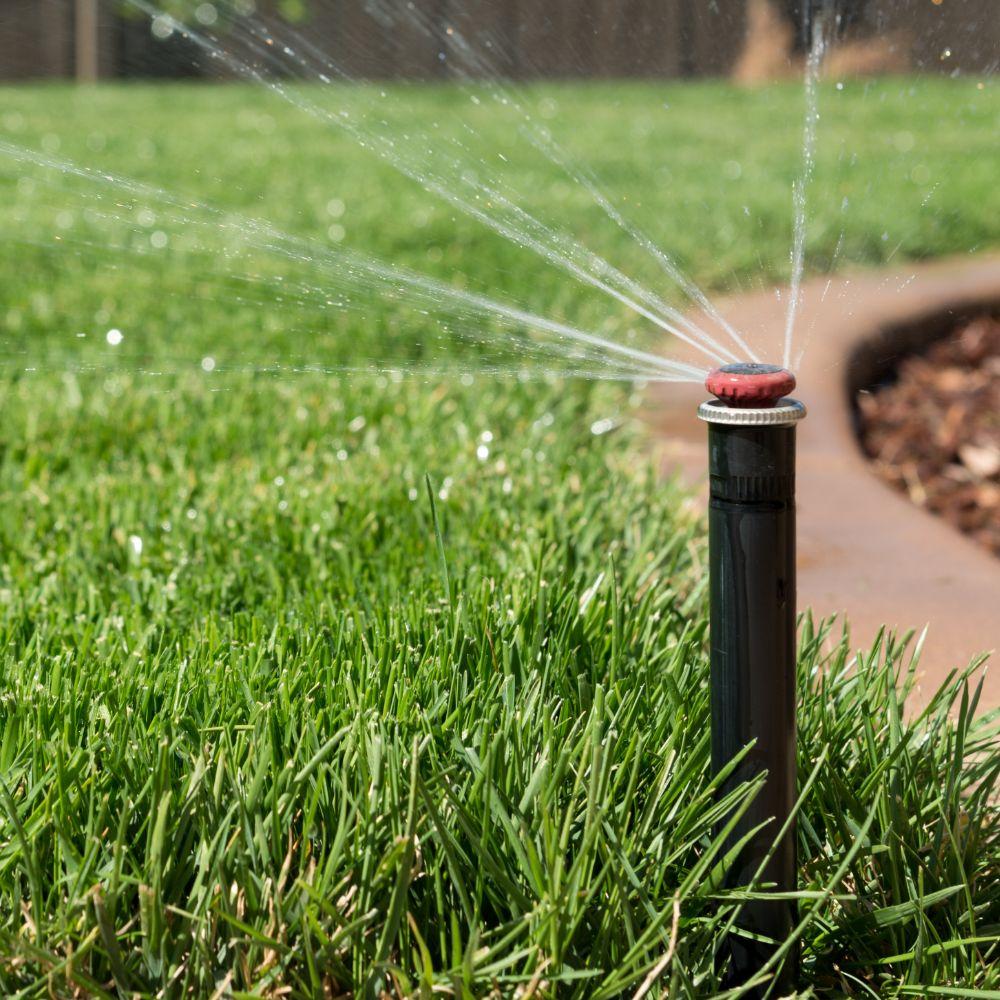 Image of a reclaimed water sprinkler. 